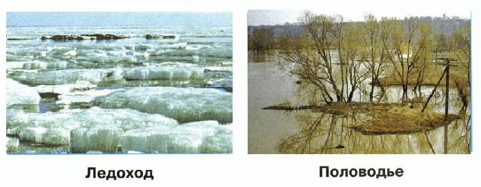 Решение рисунок 1